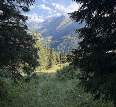 IMG_3438_trekking valle aosta chaligne frassati val ferret rockandrolla 2026
